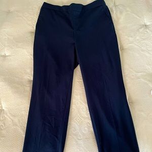 Banana Republic Hayden Pant (6)